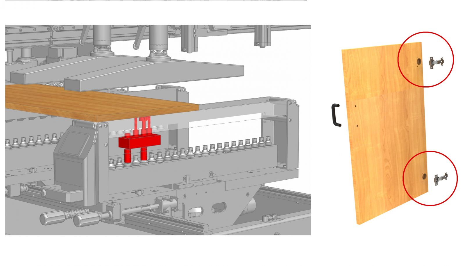 Immagine principale maggi