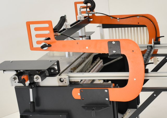 Immagine principale maggi